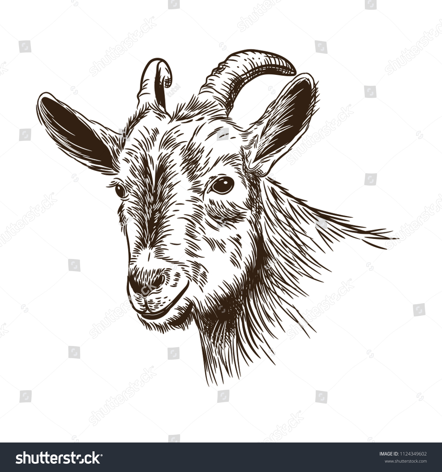 60,844 Goat symbol Images, Stock Photos & Vectors | Shutterstock