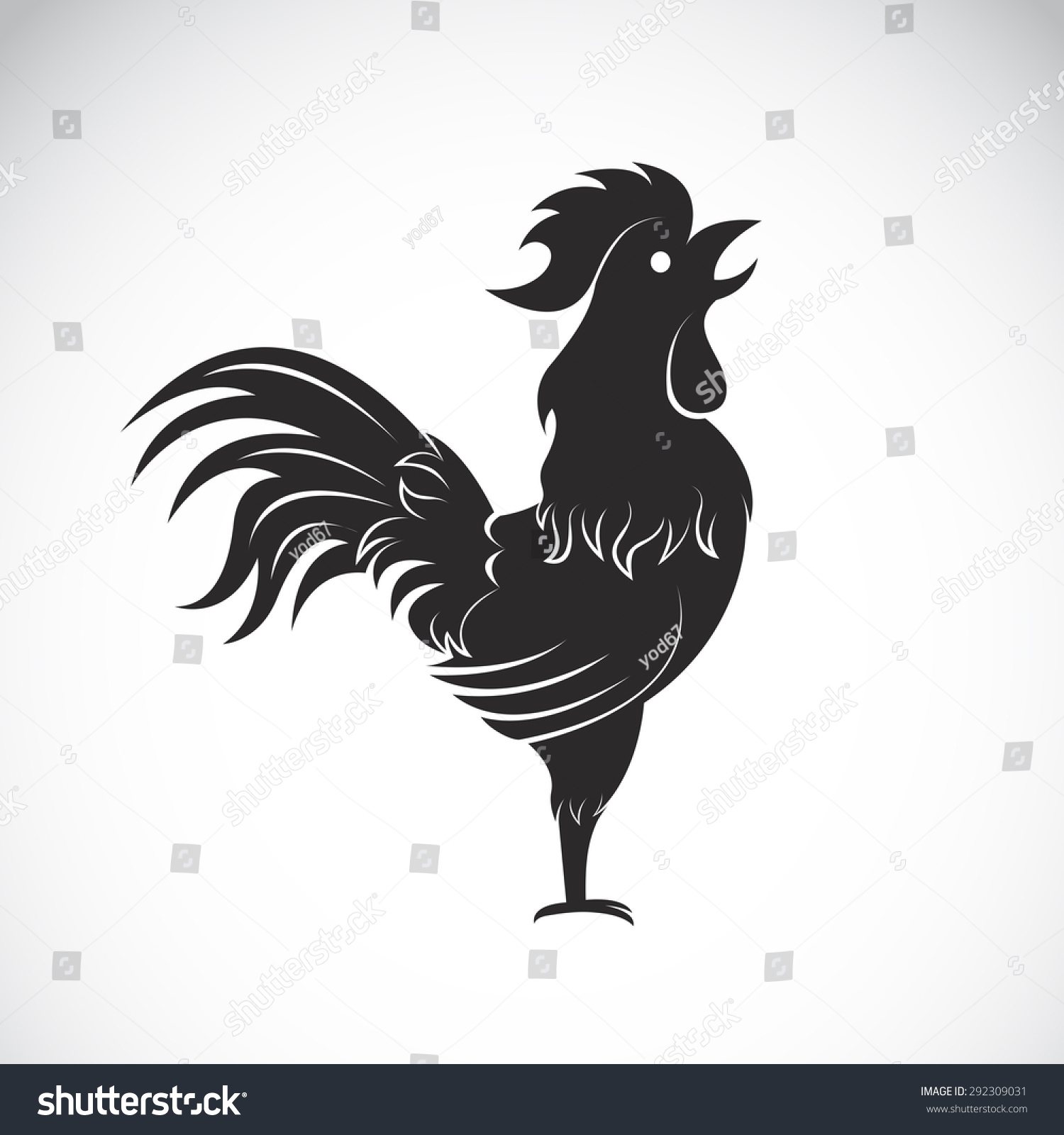 Vector Image Of An Cock On White Background - 292309031 : Shutterstock