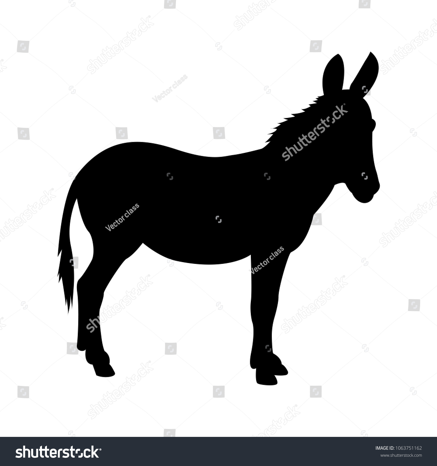 1,571 Mule silhouette Stock Vectors, Images & Vector Art | Shutterstock