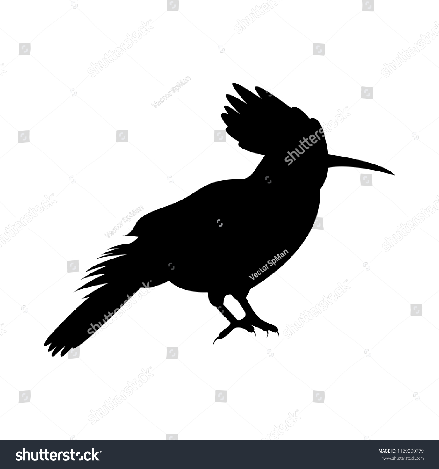 Vector Image Silhouette Bird Odd Stock Vector (Royalty Free) 1129200779 ...