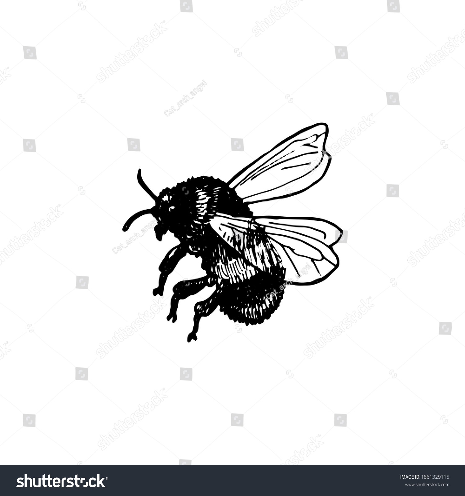 Vector Ink Drawing Bumblebee Hand Drawn Stock Vector (Royalty Free