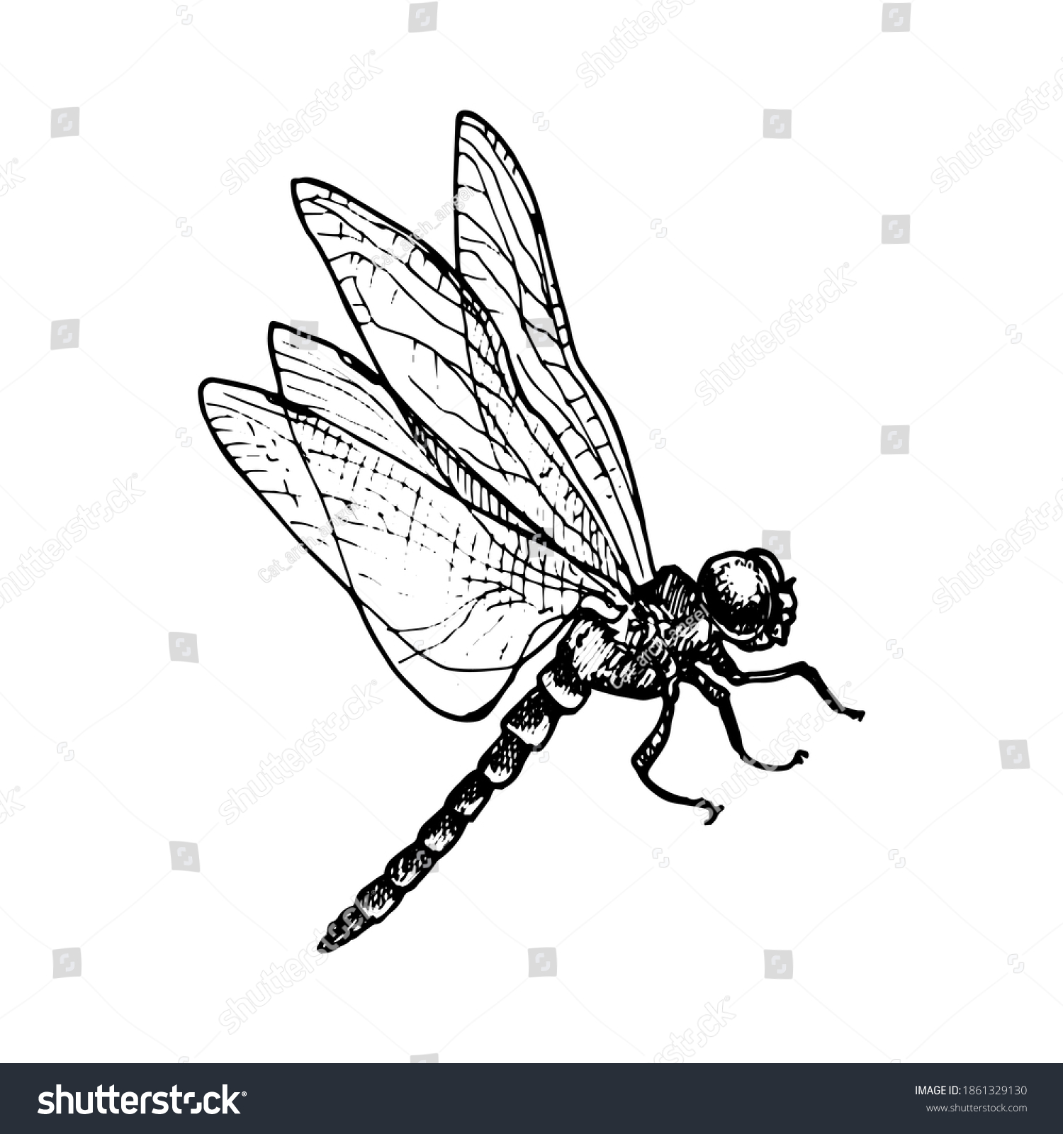 1,577 Dragon fly sketch Images, Stock Photos & Vectors Shutterstock