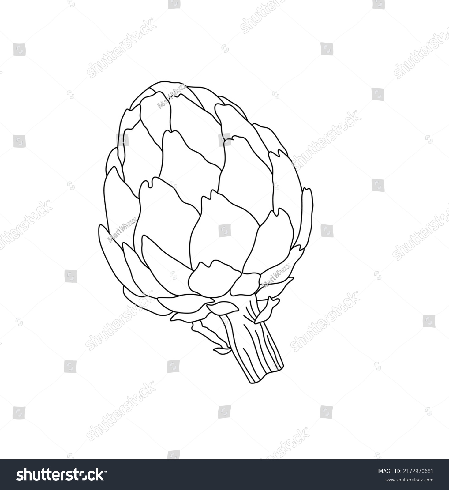 12,469 Artichokes Stock Vectors, Images & Vector Art | Shutterstock