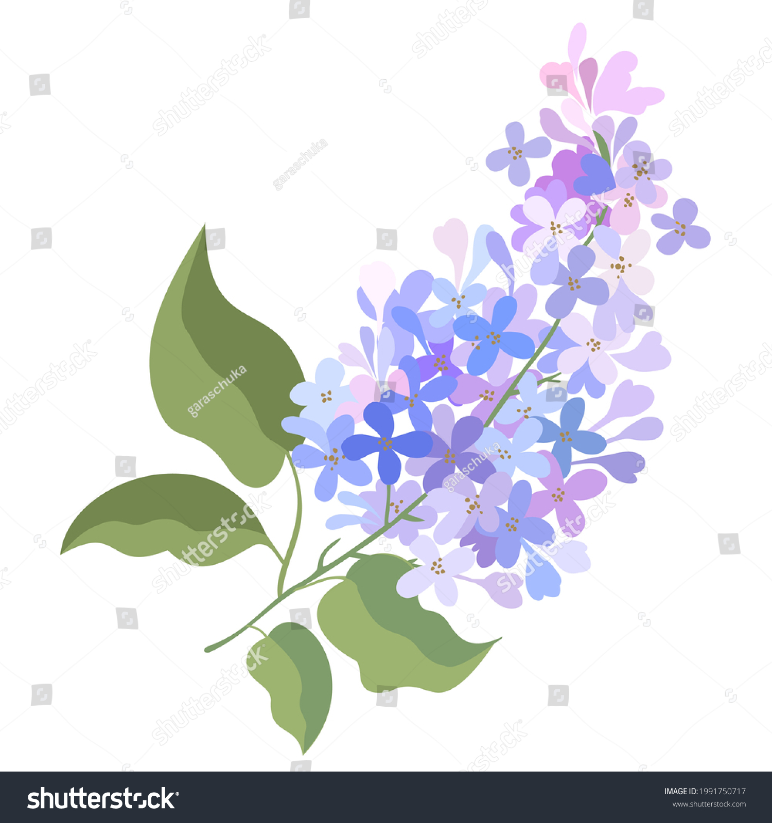 SVG of Vector isolated illustration of lilac branch. svg