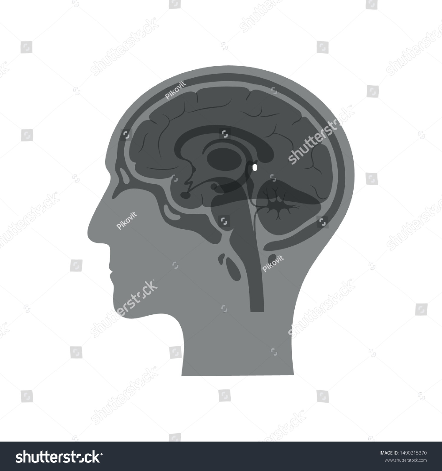 Vector Isolated Illustration Pineal Gland Man Stock Vektorgrafik Lizenzfrei 1490215370 9035