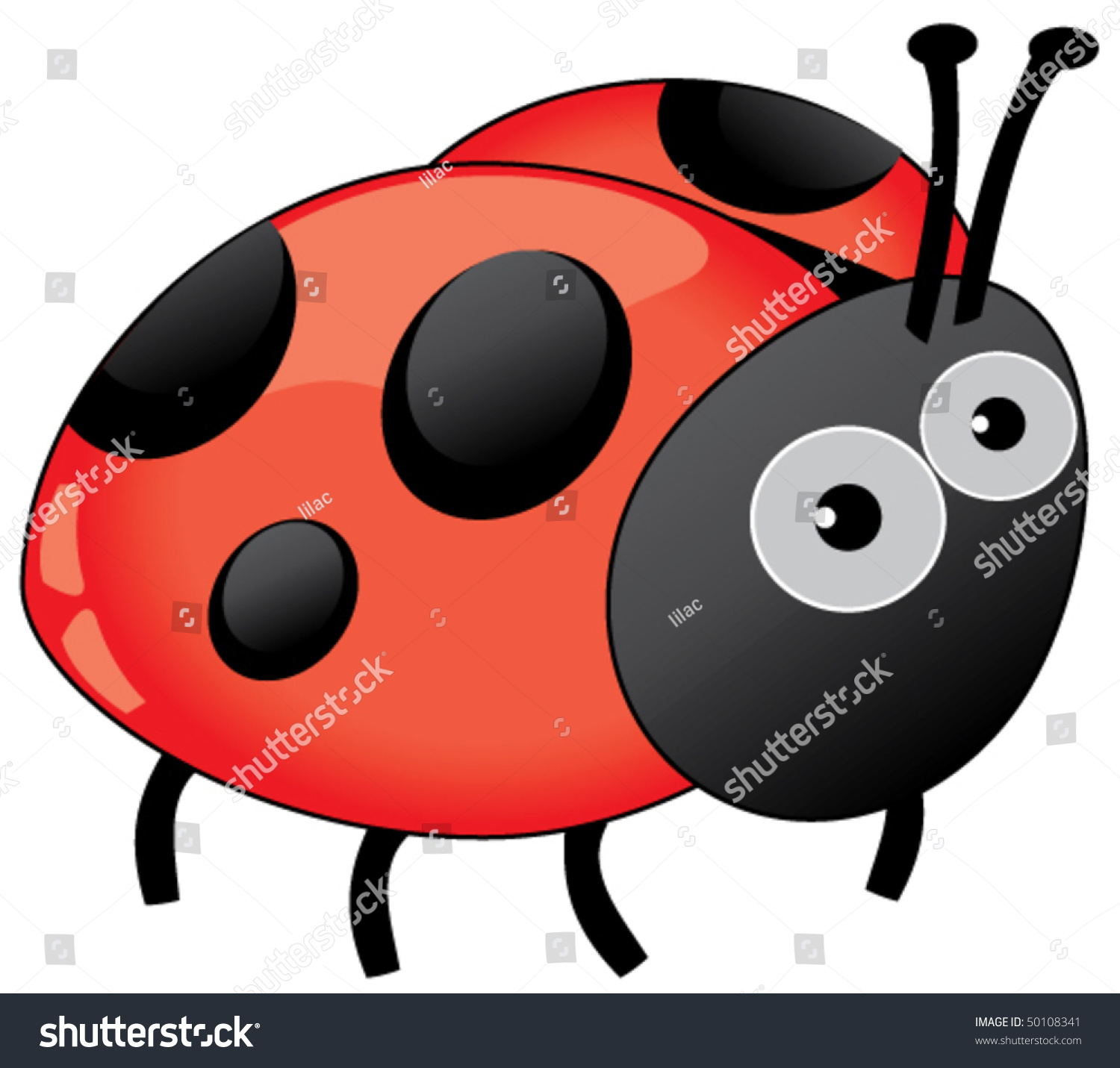 Vector Ladybug - 50108341 : Shutterstock