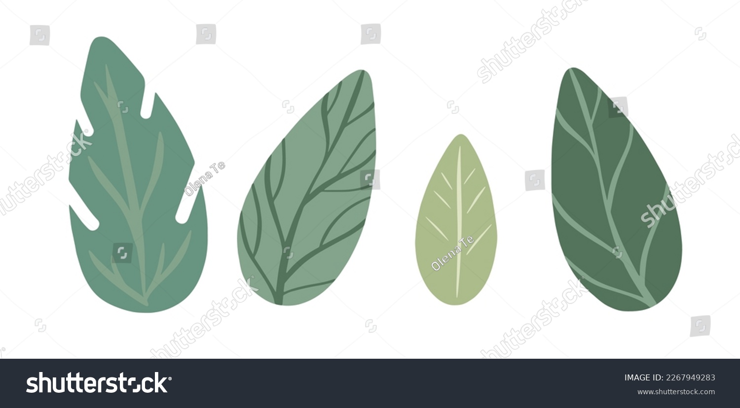 SVG of Vector leaf icons set. Garden plants with thin veins. Simple cartoon style illustration. Many botanical elements for trendy textile print design, packaging, advertising layouts. Hand drawn flat art. svg