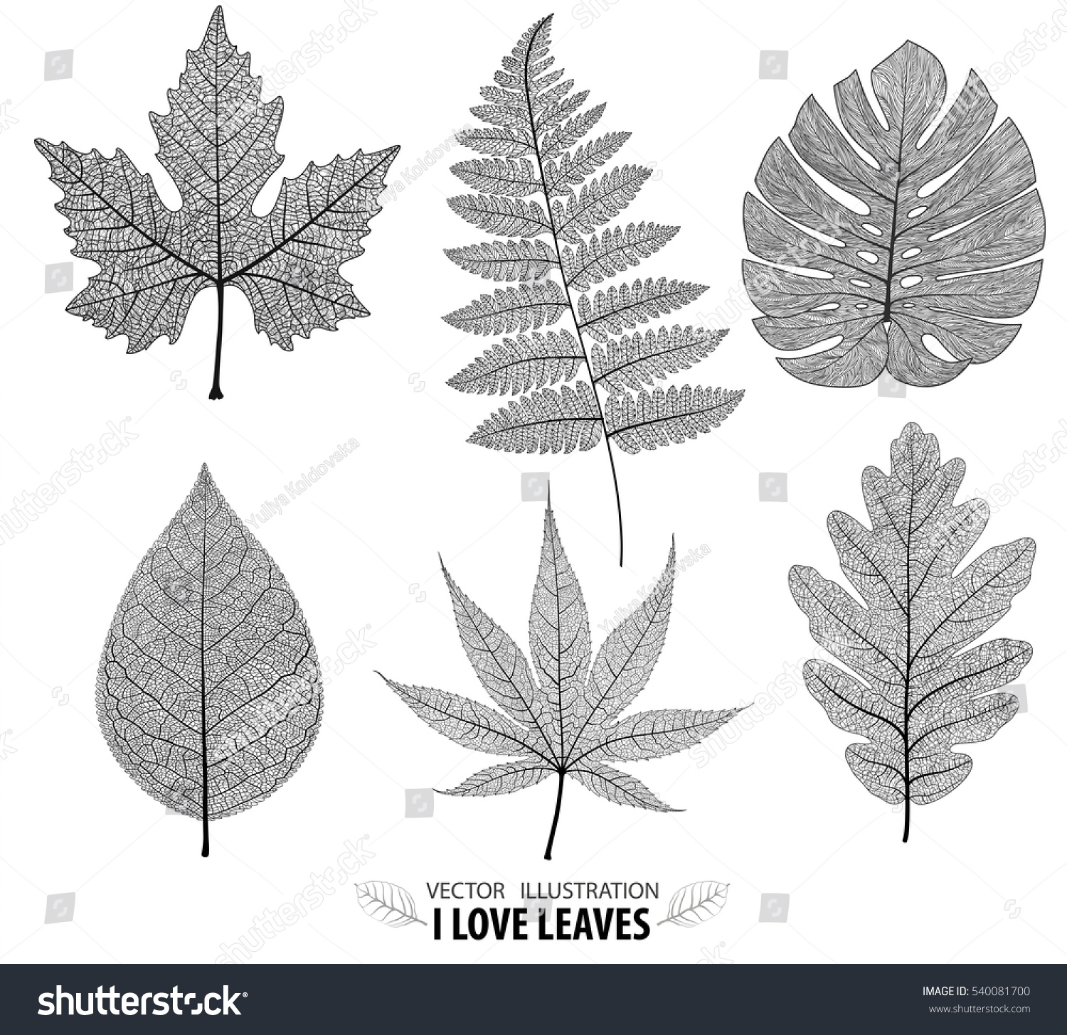 Vector Leaves Isolated Black Stock Vector (Royalty Free) 540081700