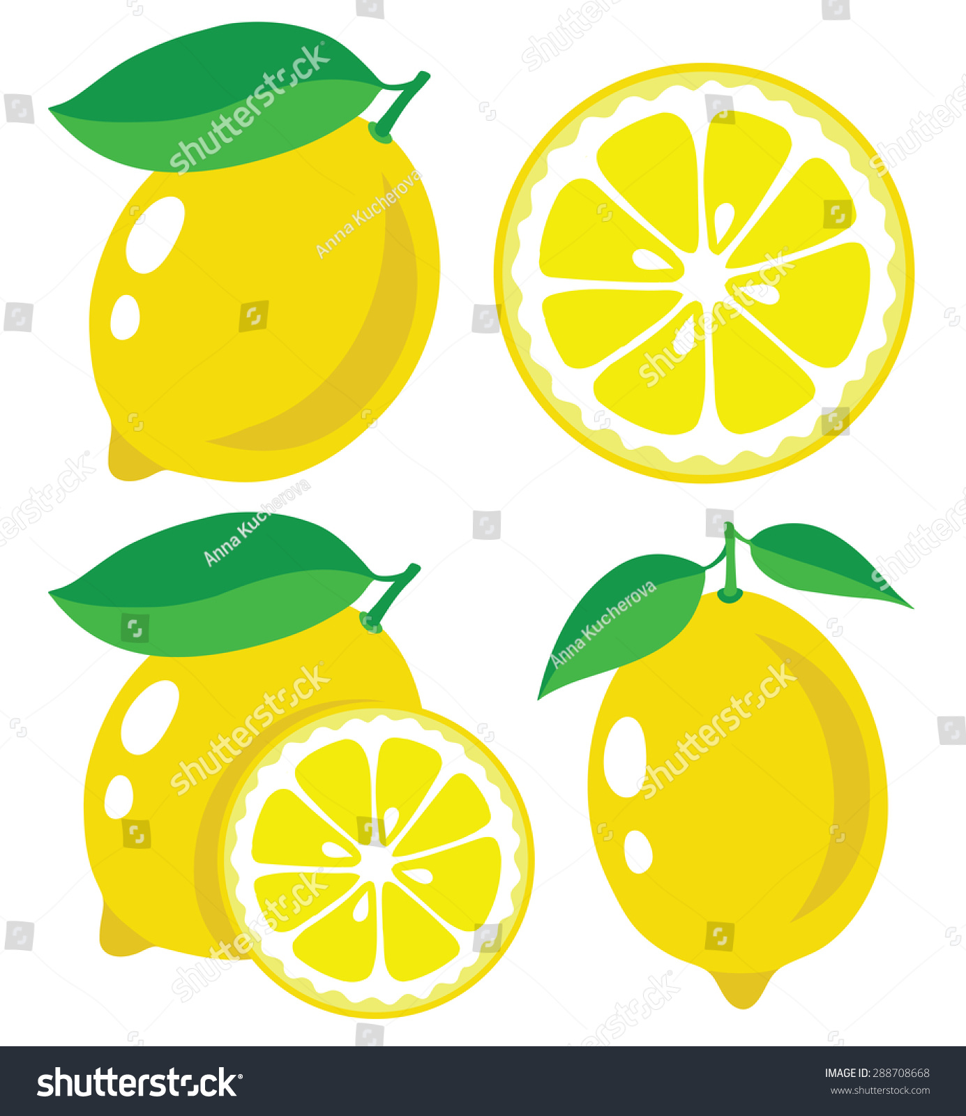 ベクターレモン 新鮮なレモンフルーツ ベクターイラストのコレクション のベクター画像素材 ロイヤリティフリー