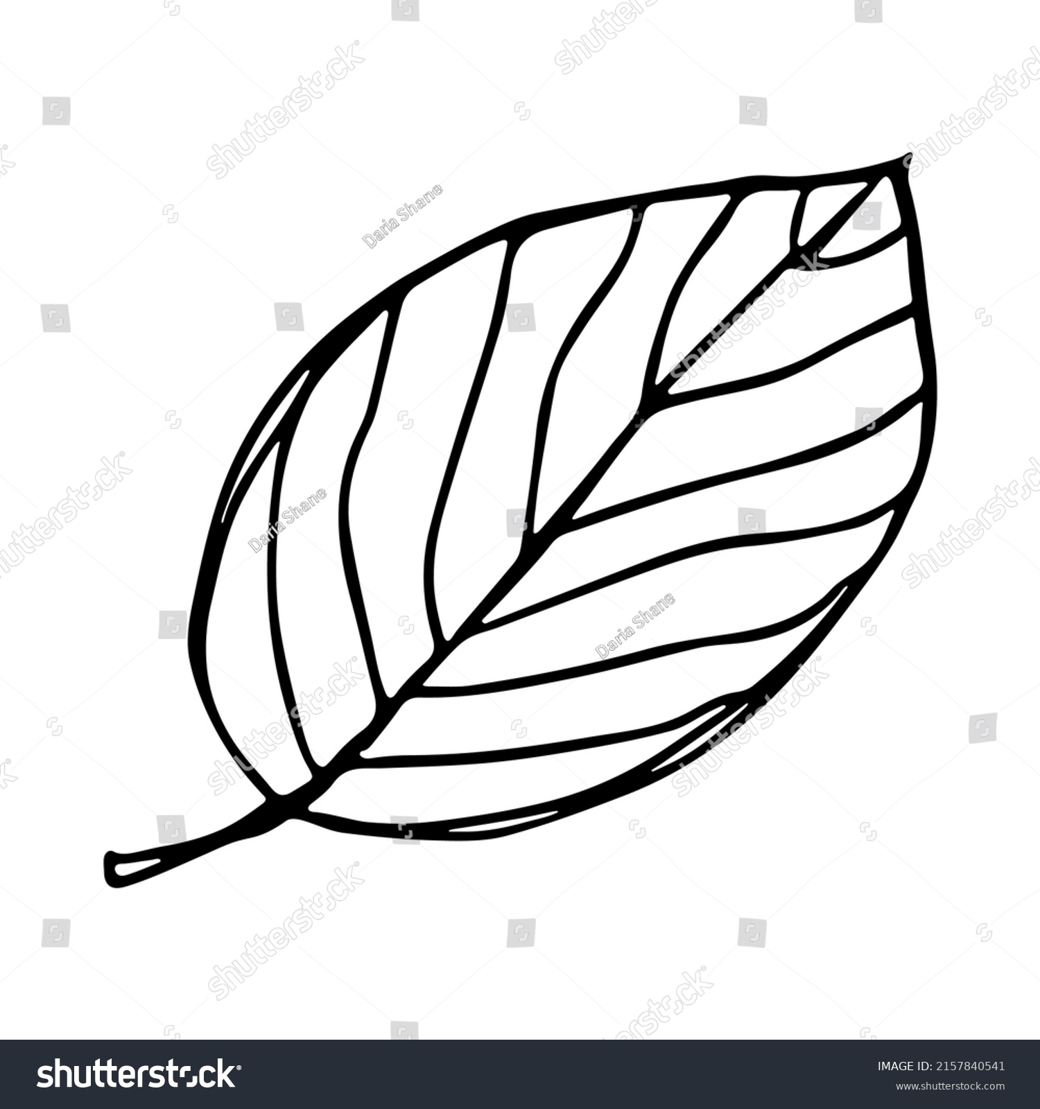 Vector Lemon Leaves Clipart Hand Drawn Stock Vector (Royalty Free ...