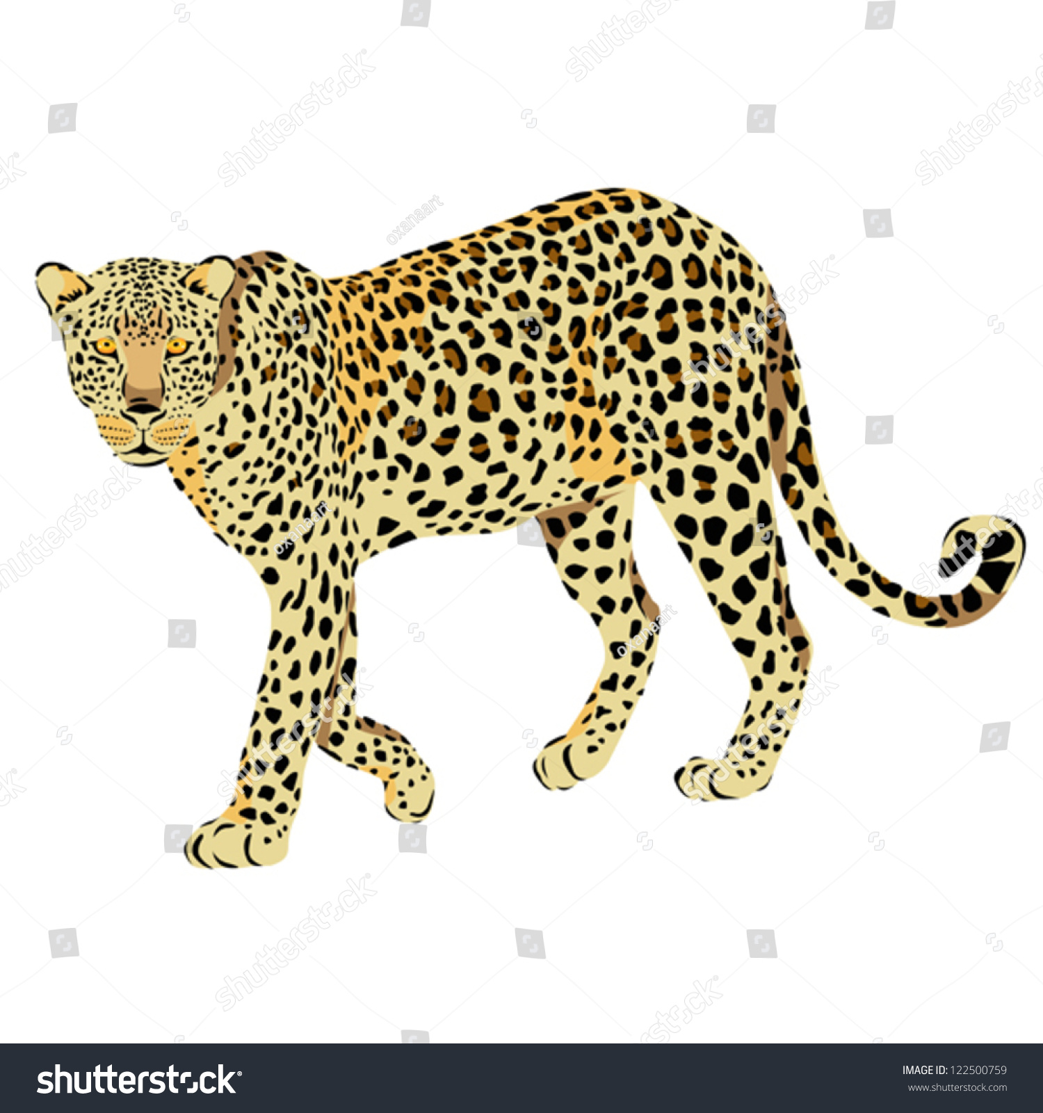 Vector Leopard Isolated On White Background Stock Vector (Royalty Free