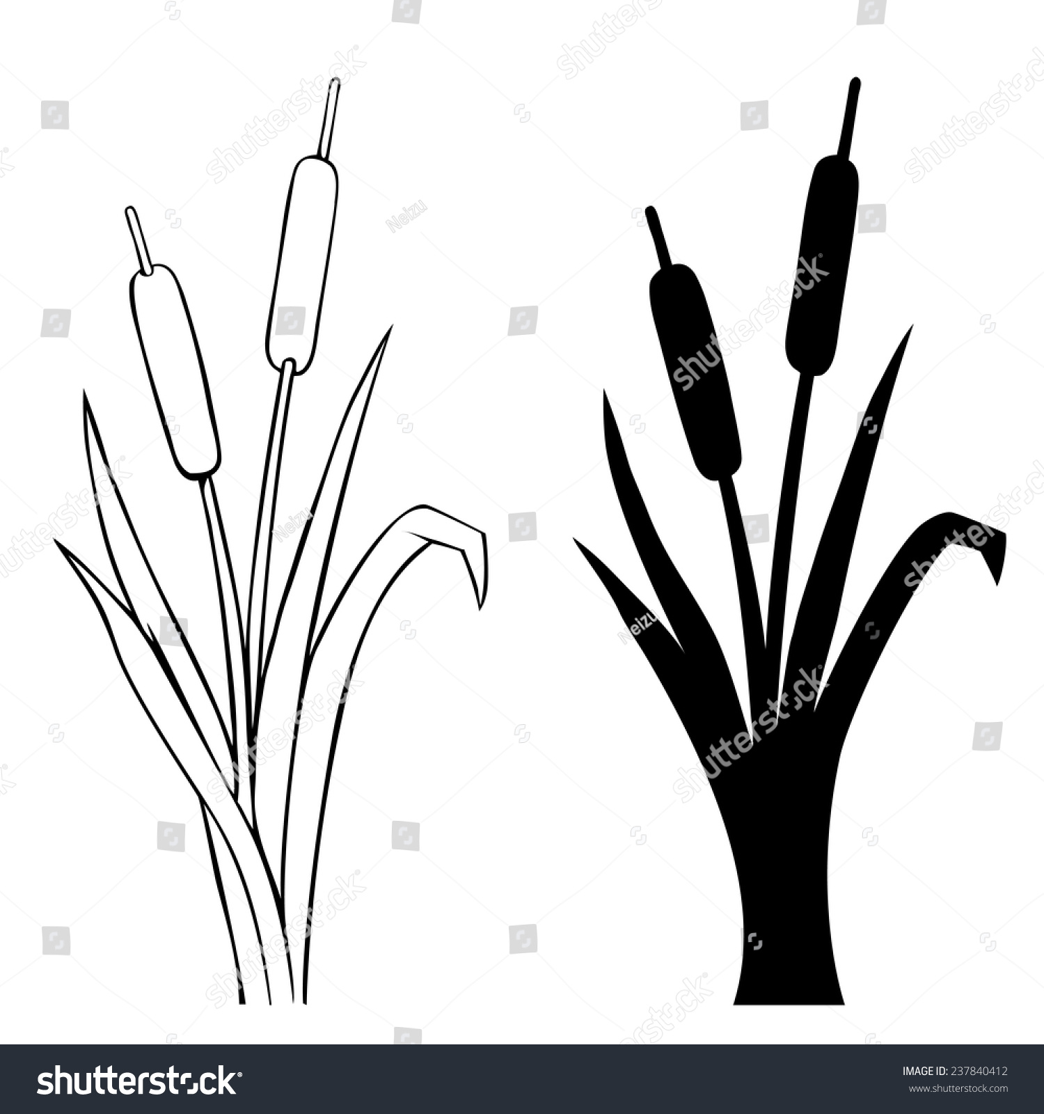 Vector Line Art Silhouette Reed Stock Vector (Royalty Free) 237840412