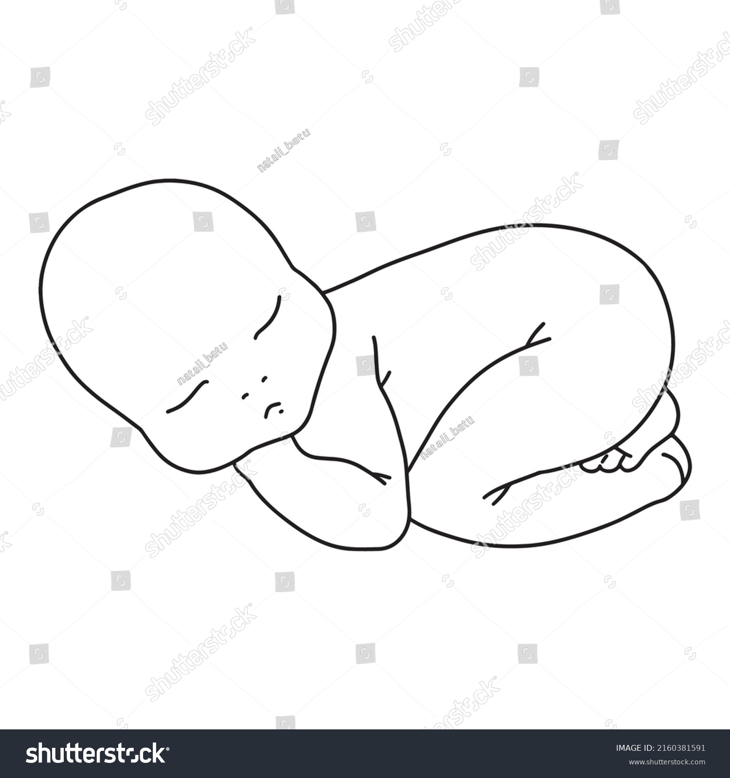 Vector Line Art Illustration Newborn Linear Stock Vector (Royalty Free ...