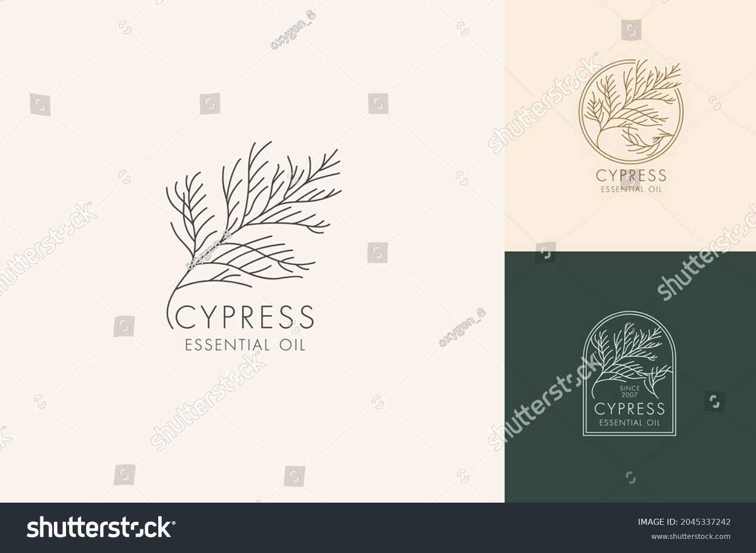 SVG of Vector linear set of botanical icons and symbols - cypress. Design logos for essential oil cypress. Natural cosmetic product svg