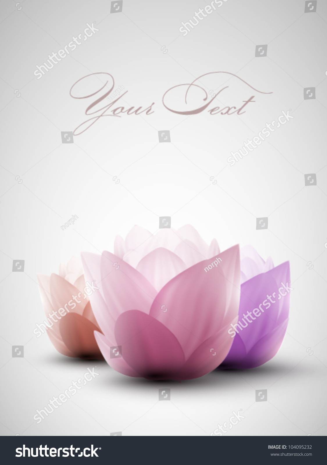 Vector Lotus Flowers Stock Vector (Royalty Free) 104095232 - Shutterstock