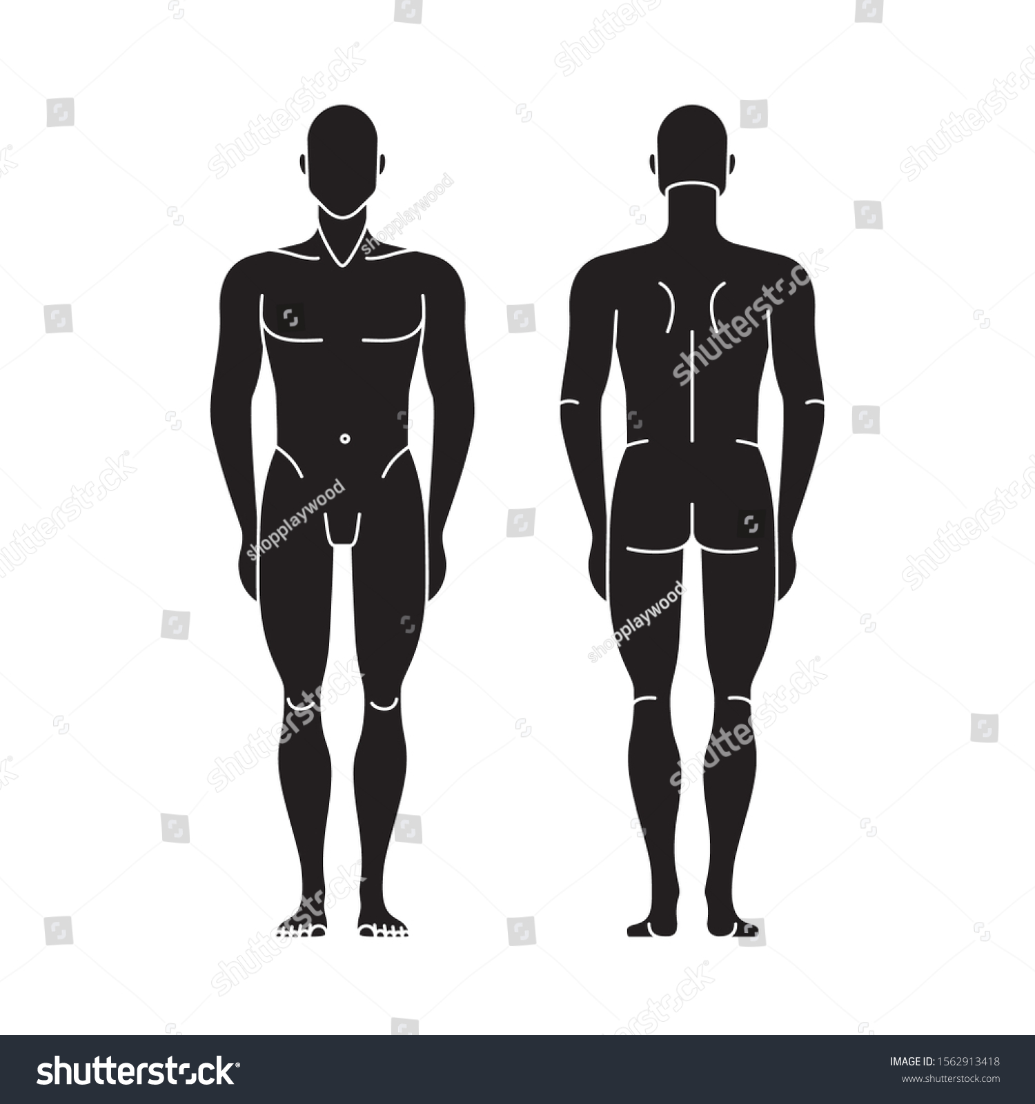 Vector Mannequin Man Standing Man Front Stock Vector (Royalty Free ...