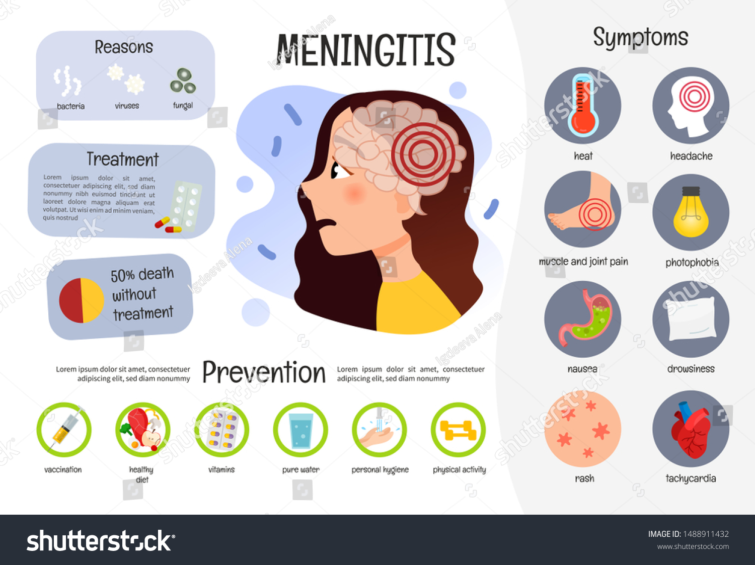 Meninges Stock Illustrations Images And Vectors Shutterstock