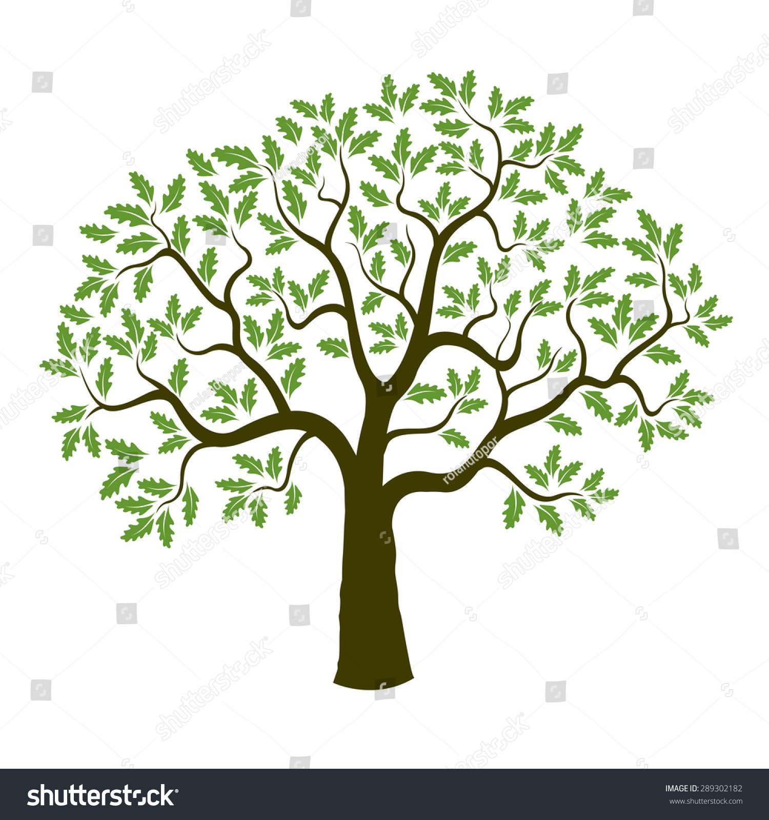 Vector Oak Tree Stock Vector 289302182 - Shutterstock