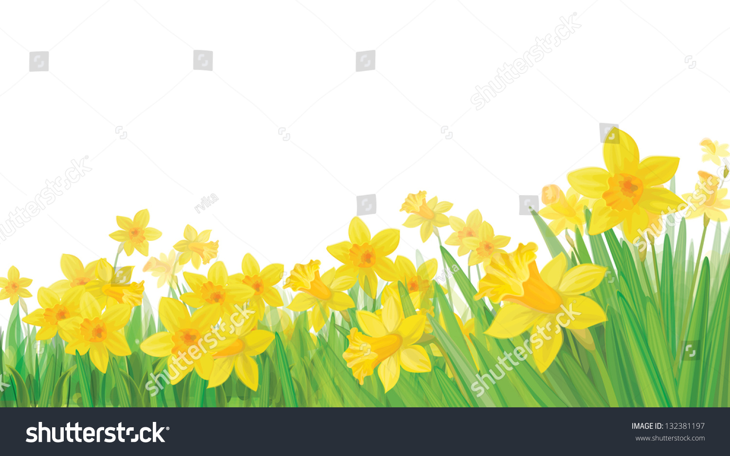 SVG of Vector of daffodil flowers isolated. svg