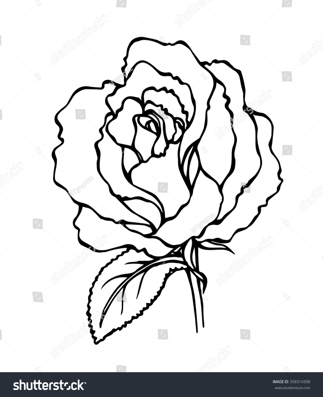Uncategorized Draw Rose Flower vector hand draw rose flower stock 358314308 shutterstock of flower