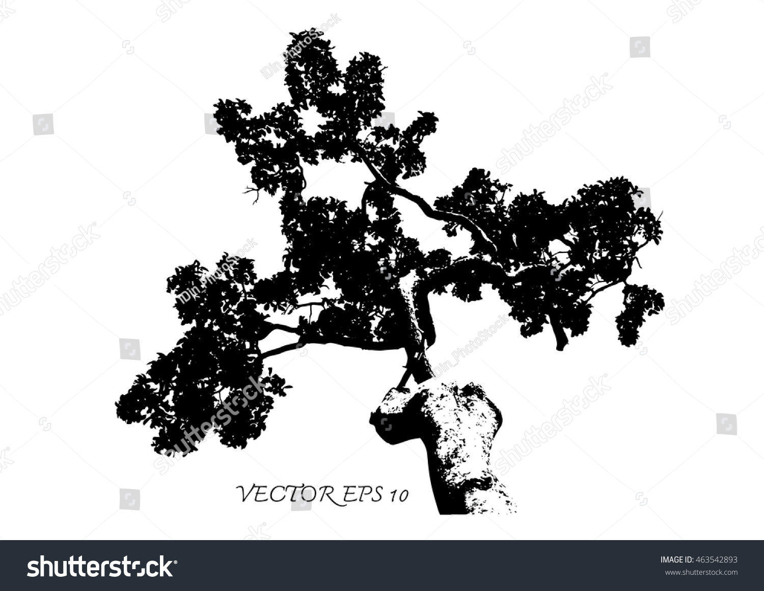 Vector Trees Silhouettes Stock Vector 463542893 - Shutterstock