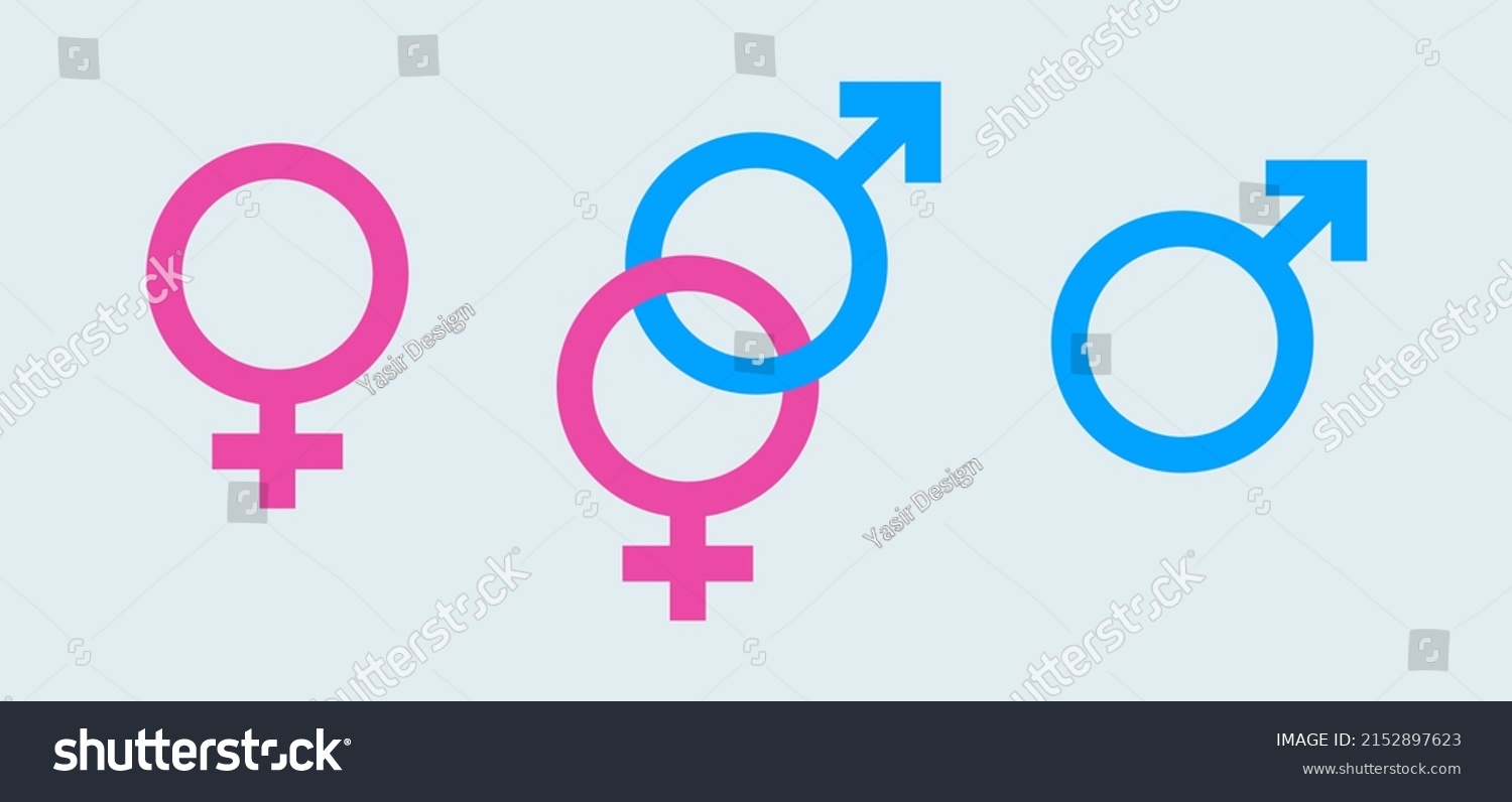 Vector Outlines Icons Gender Symbols Male Stock Vector Royalty Free