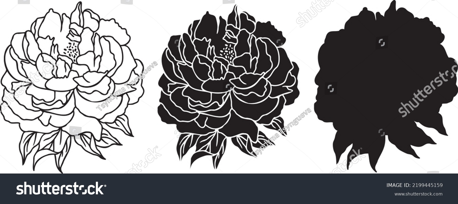SVG of Vector Peonies SVG outline. Hand drawn Peonies Florals Silhouette. One line Peony flowers isolated illustration. svg