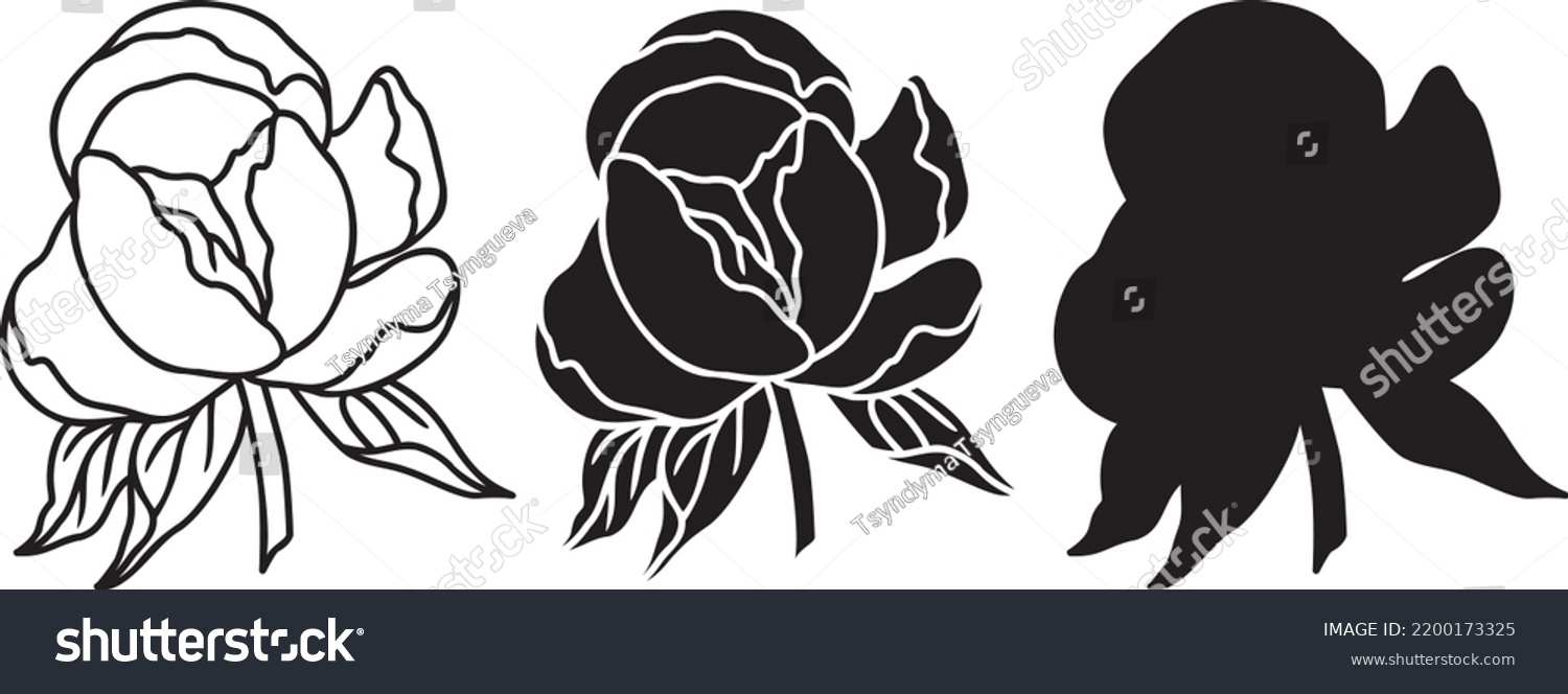 SVG of Vector Peonies SVG outline. Peonies Silhouette. One line Peony flower iilustration isolated on white background. svg