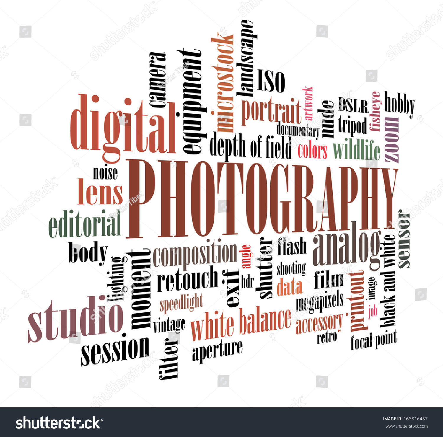 Vector Photography Concept Tag Cloud Stock Vector (Royalty Free) 163816457