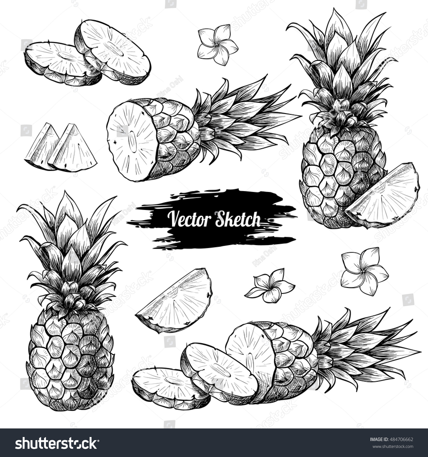 Vector Pineapples Hand Drawn Sketch Flowers Stock Vector Royalty Free Shutterstock