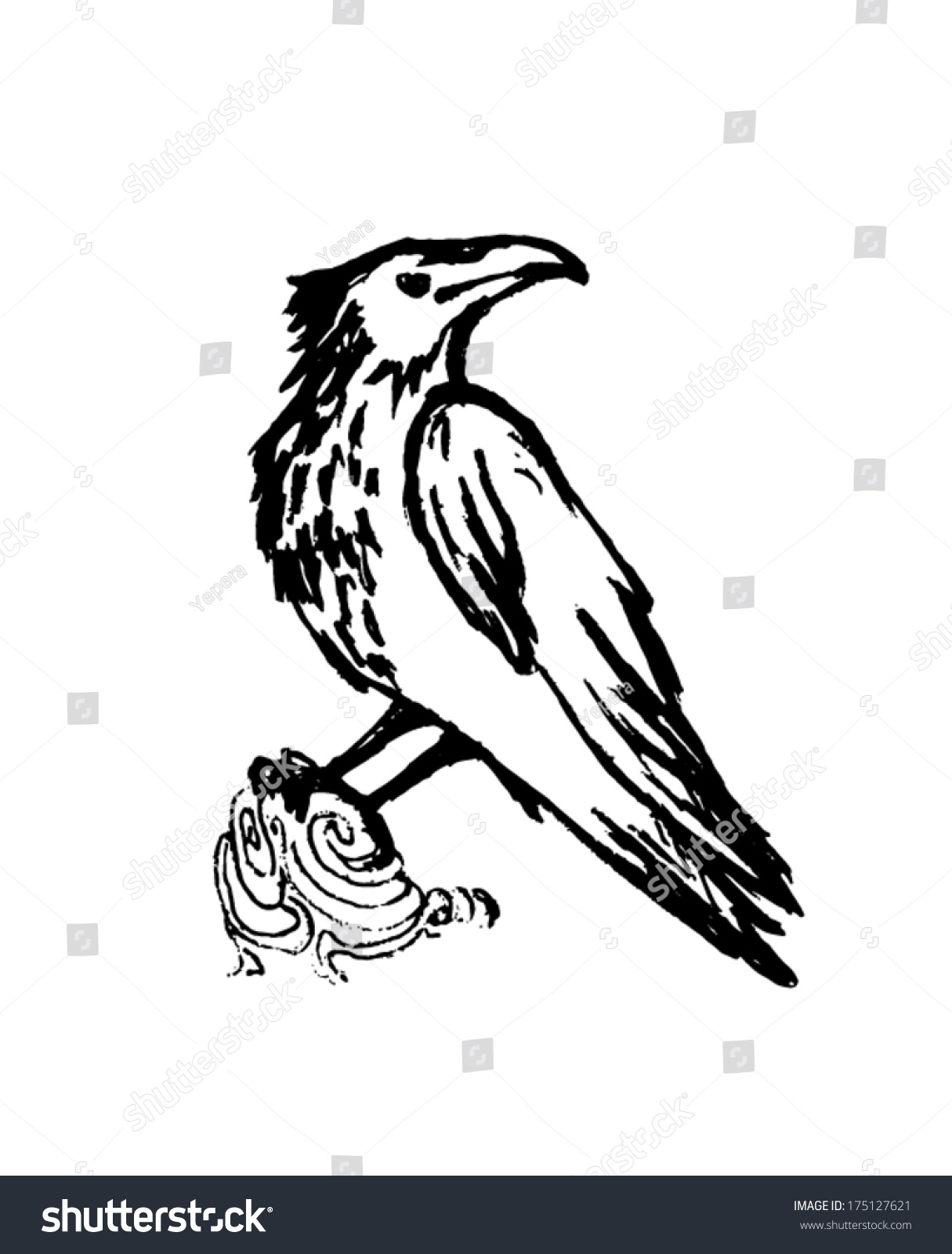 Vector Raven Black Sketch On White Stock Vector 175127621 Shutterstock Vector Image Black White Sketch