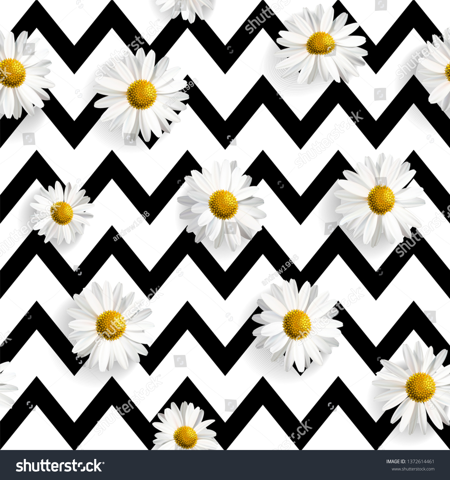 Vector Realistic Daisies Seamless Pattern Black Stock Vector Vector Realistic Daisies Seamless Pattern Black Stock Vector