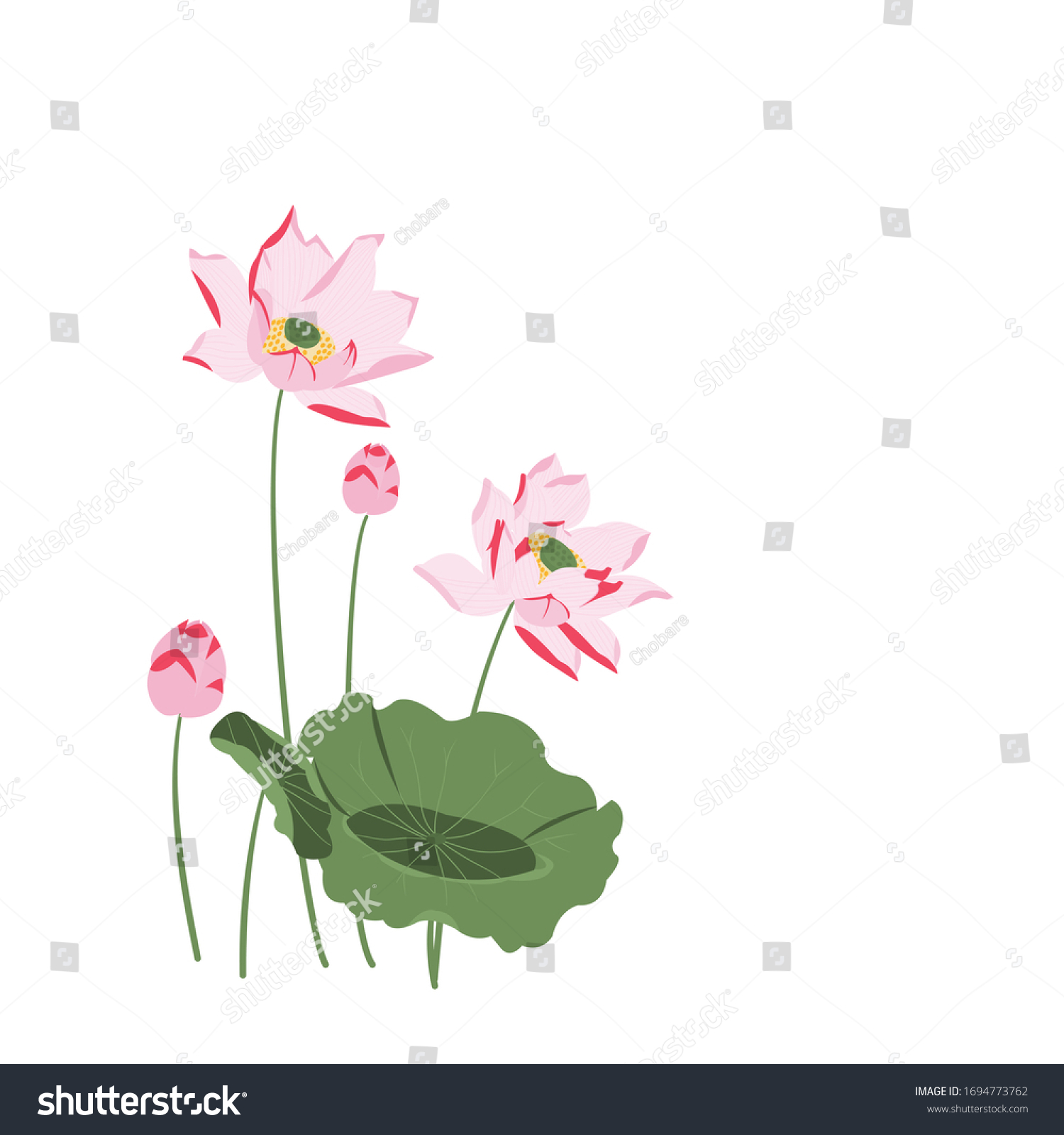 Vector Realistic Illustration Lotus Flower Leaves เวกเตอร์สต็อก ปลอดค่าลิขสิทธิ์ 1694773762 0245