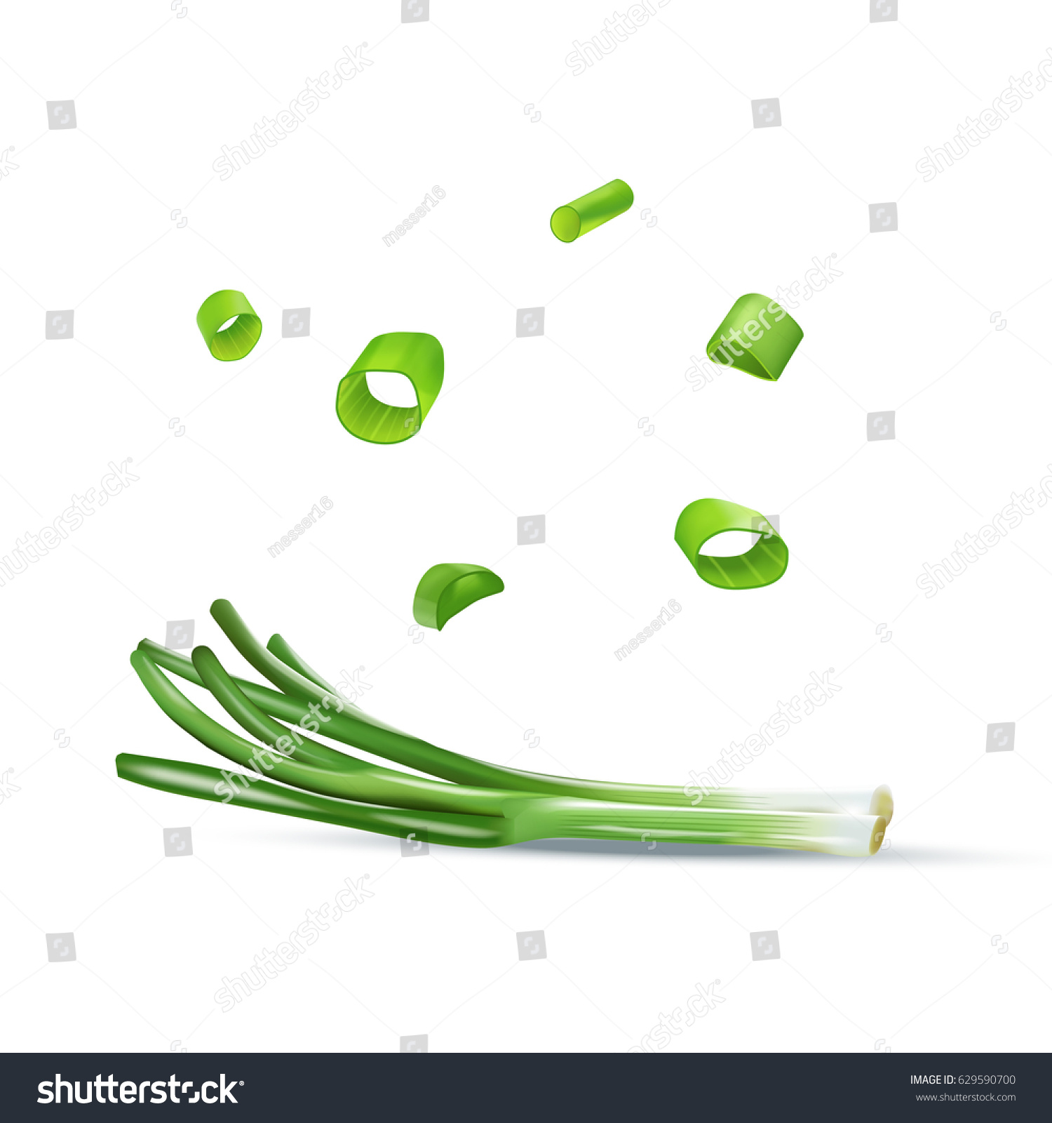 SVG of Vector realistic illustration of spring onion. Colorful greens. svg