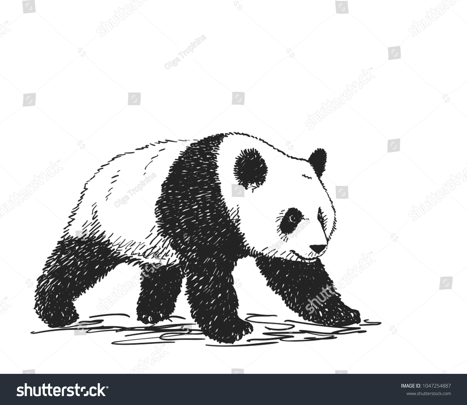 Vector Realistic Sketch Panda Figure Fulllength Stock Vector (Royalty