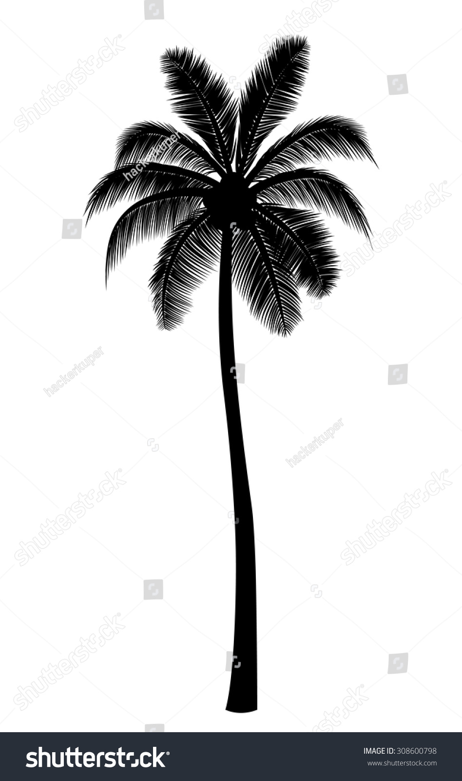 Vector Realistic Tall Palm Tree Silhouette Stock Vector Royalty Free