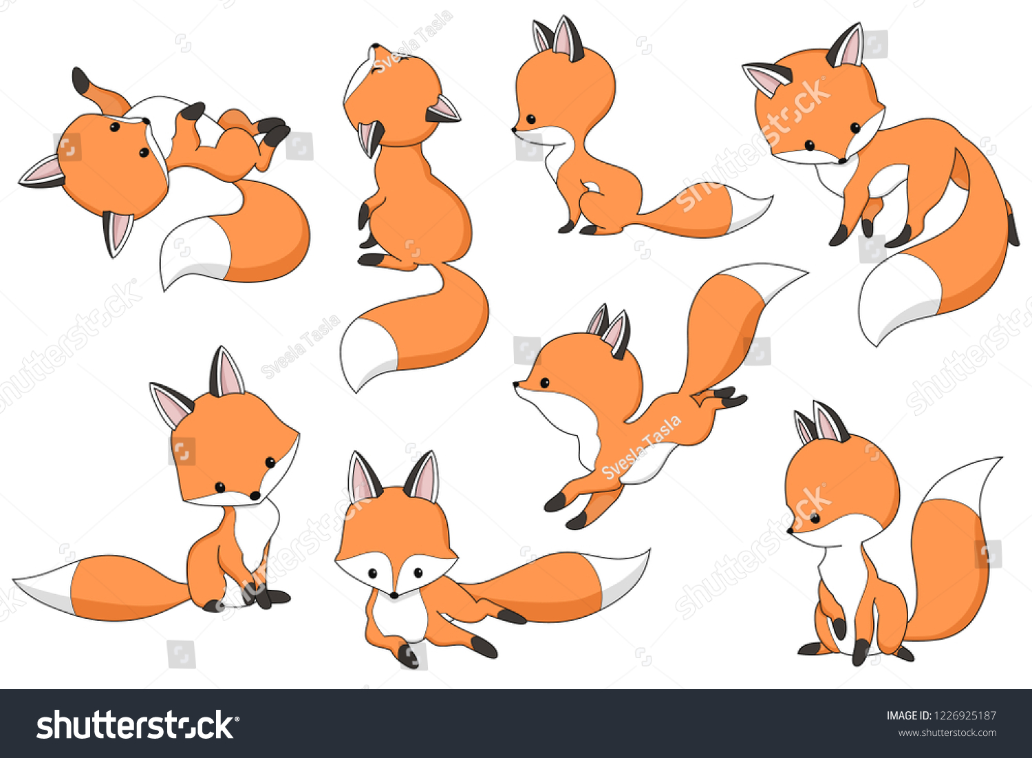 Red Fox Set