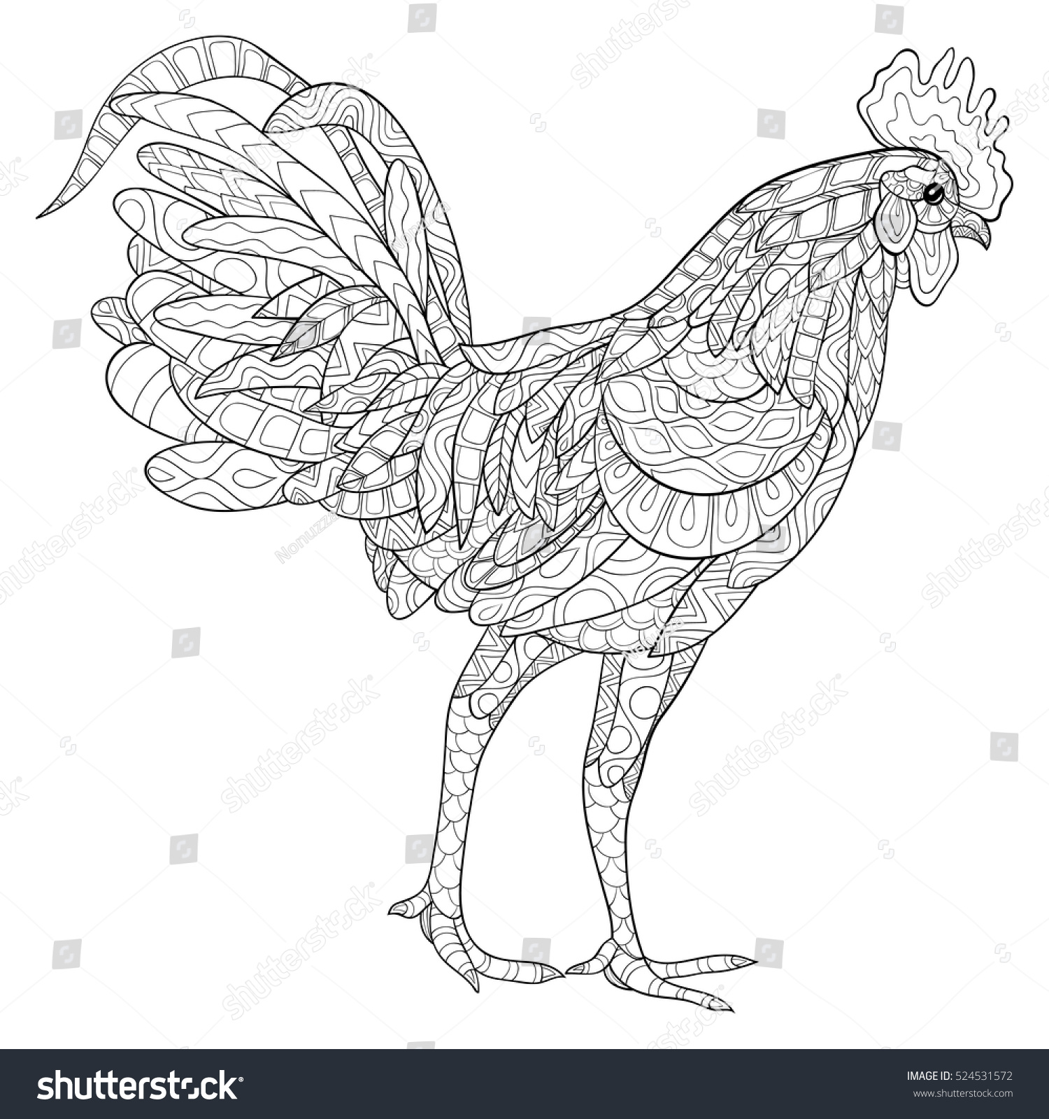 Vector rooster zen tangle for adult coloring pages patterned illustration for anti stress coloring