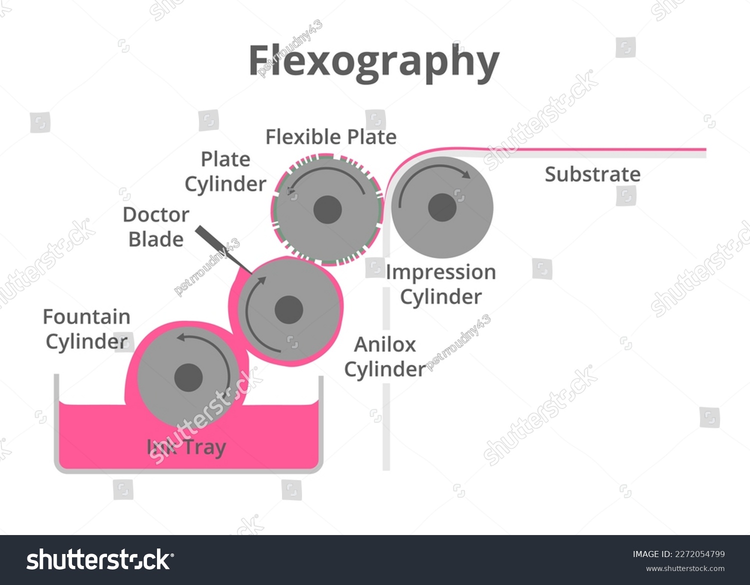 SVG of Vector schematic illustration of flexographic printing technique isolated on a white background. Flexo printing press or machine, flexography. Fountain, anilox, plate, and impression cylinders. svg