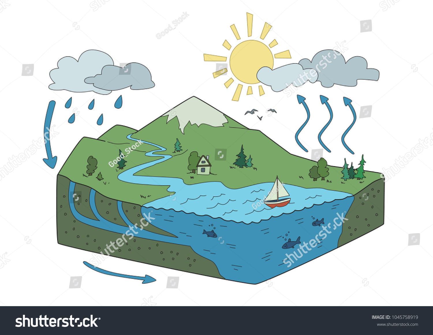 schematic representation of water cycle