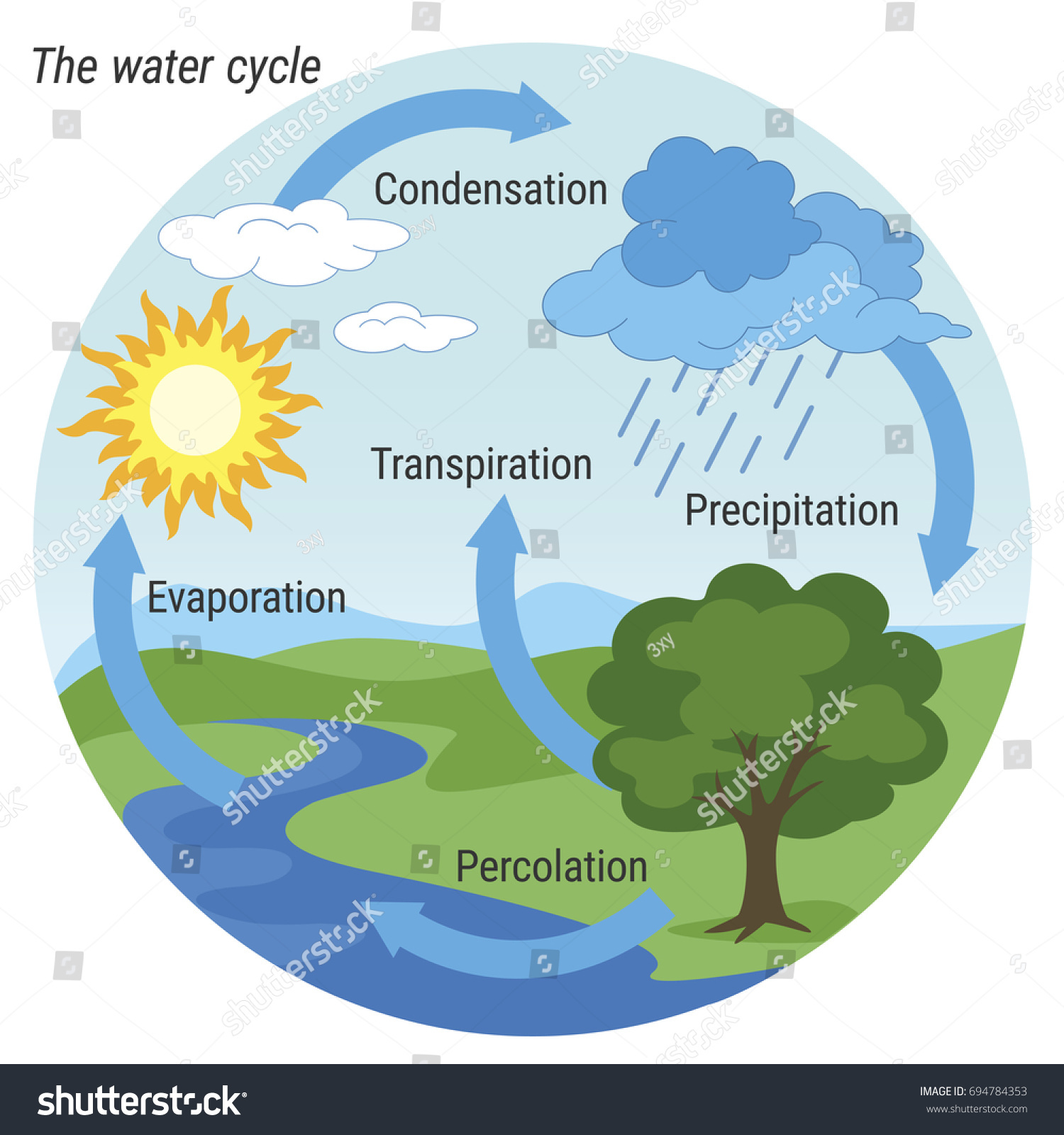 Vector Schematic Representation Water Cycle Nature Stock