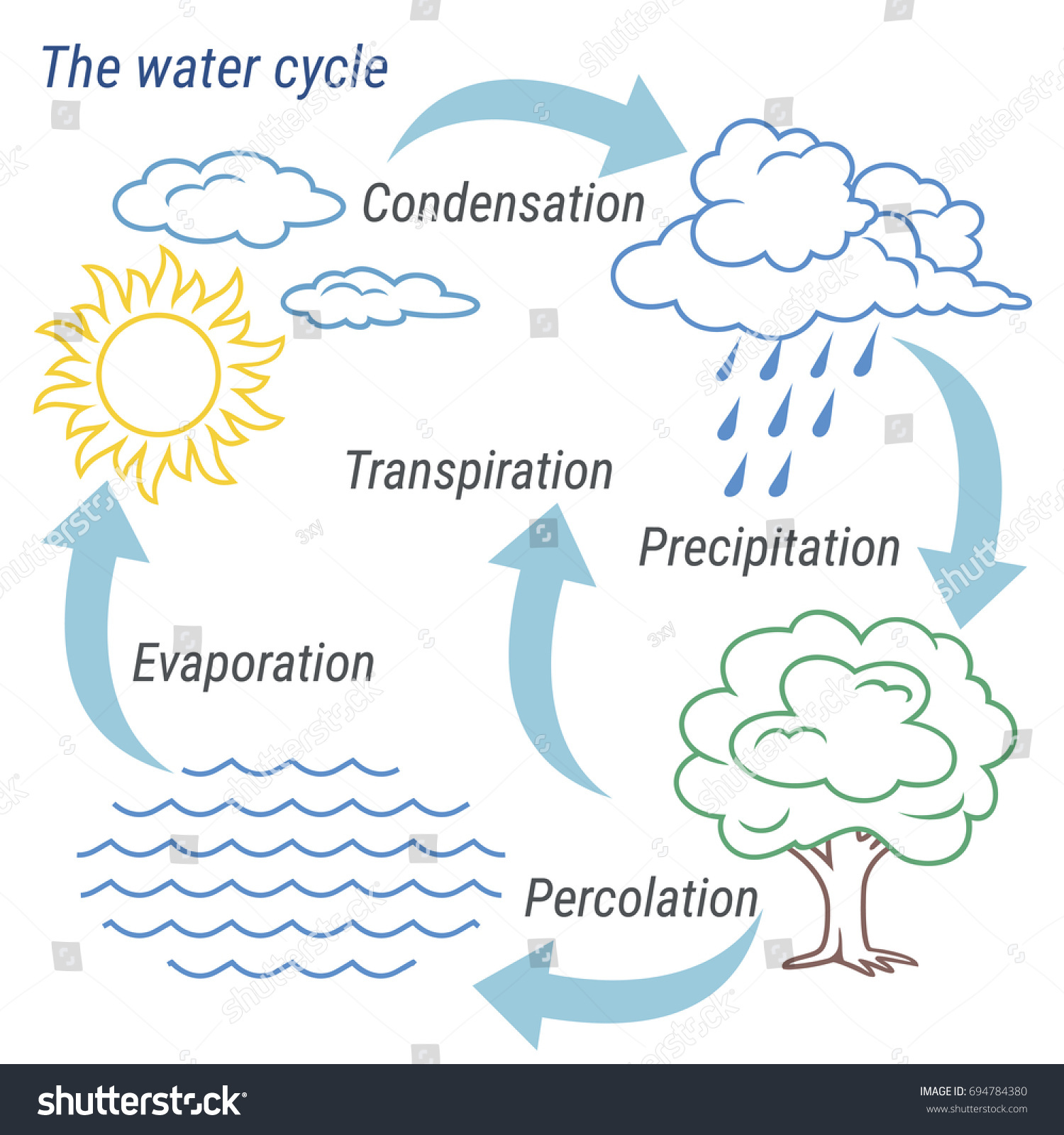 Vector Schematic Representation Water Cycle Nature Stock ...