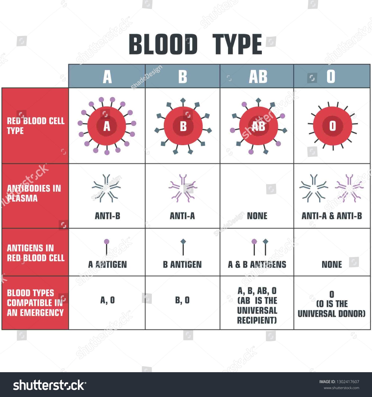 Vector Scientific Icon Table Structure Blood Stock Vector (Royalty Free ...