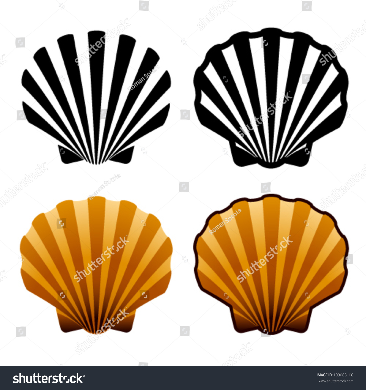 Vector Sea Shells Stock Vector 103063106 - Shutterstock