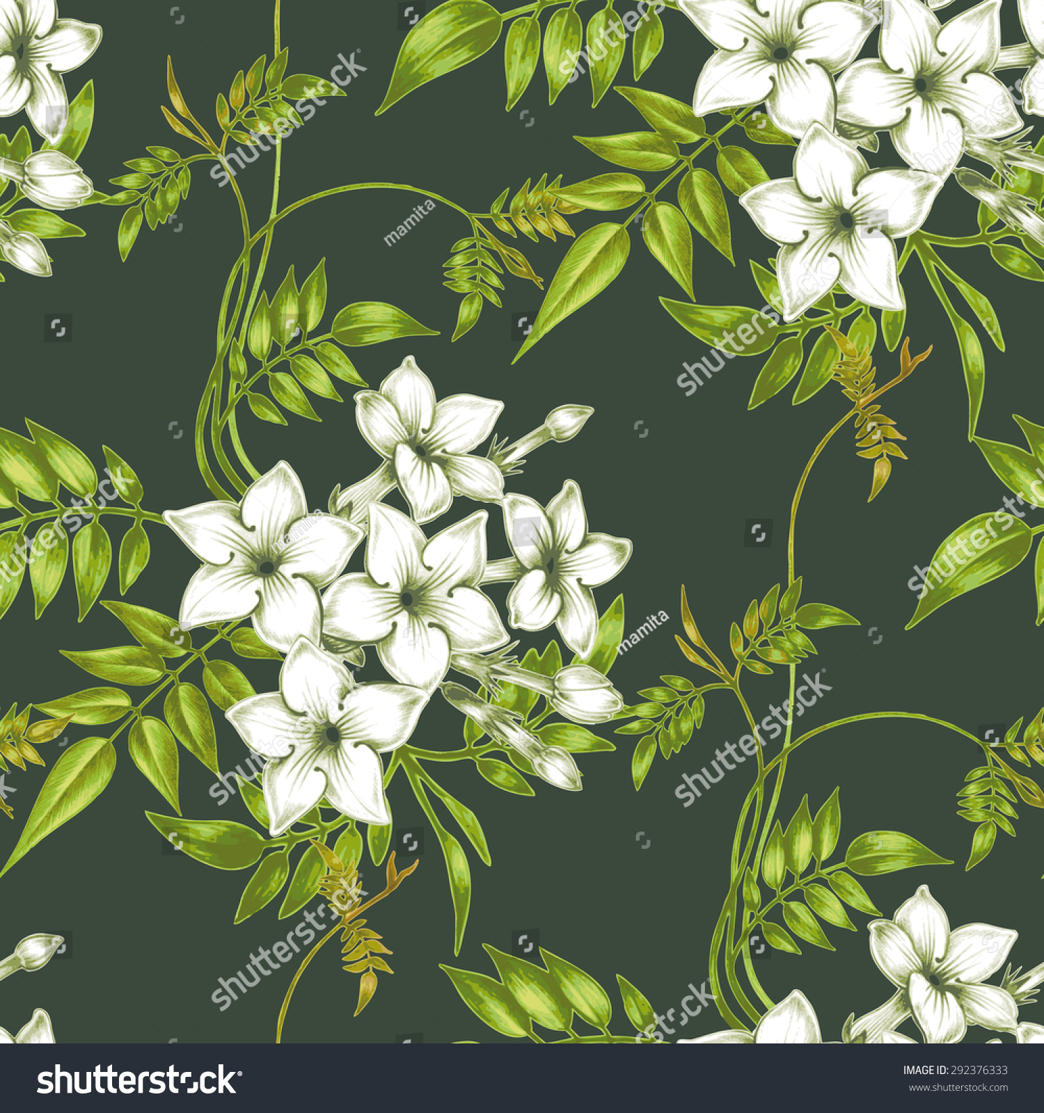 Vector Seamless Background Jasmine Flowersdesign Fabrics Stock Vector ...