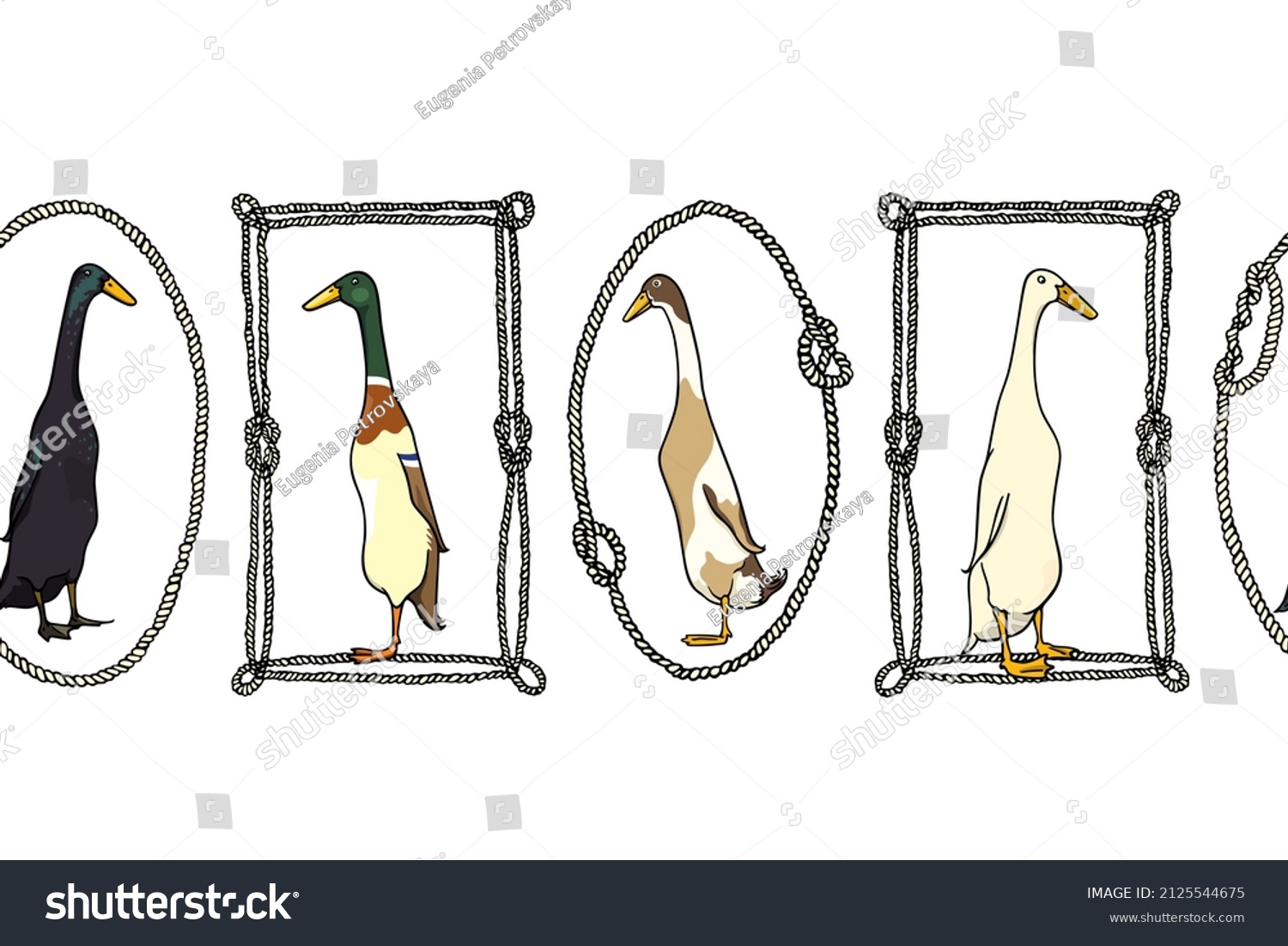 SVG of Vector seamless pattern with hand drawn cute Indian Runner ducks of different types in nautical rope frames. Ink drawing, beautiful farm products design elements. Perfect for prints and patterns svg