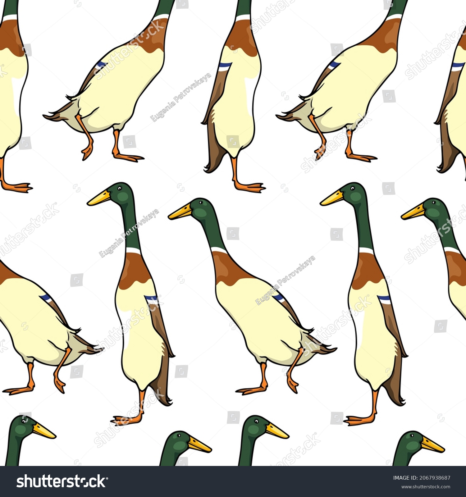 SVG of Vector seamless pattern with hand drawn cute Mallard Indian Runner ducks. Ink drawing, beautiful farm products design elements. Perfect for prints and patterns svg