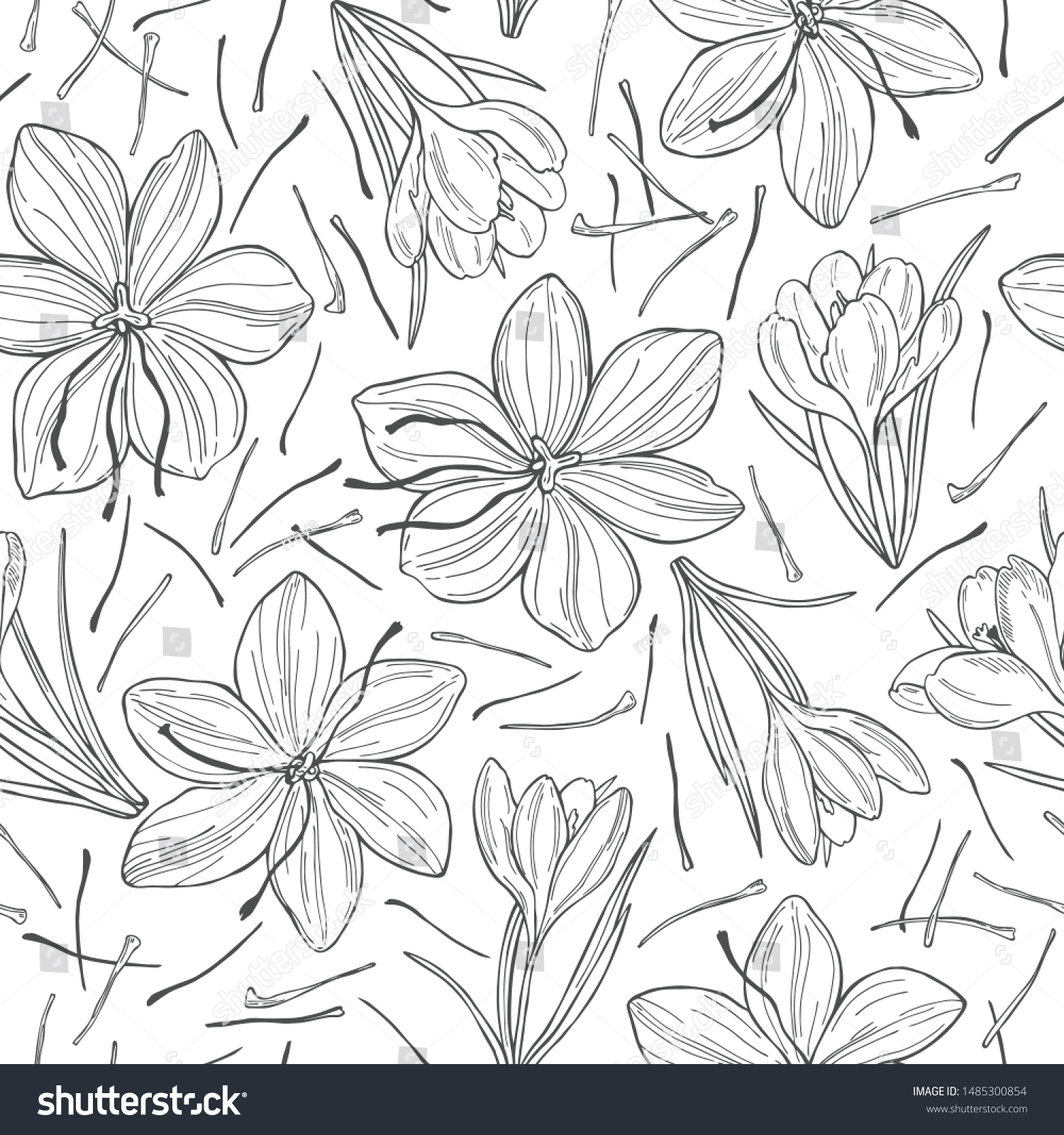 Saffron vintage Images, Stock Photos & Vectors Shutterstock