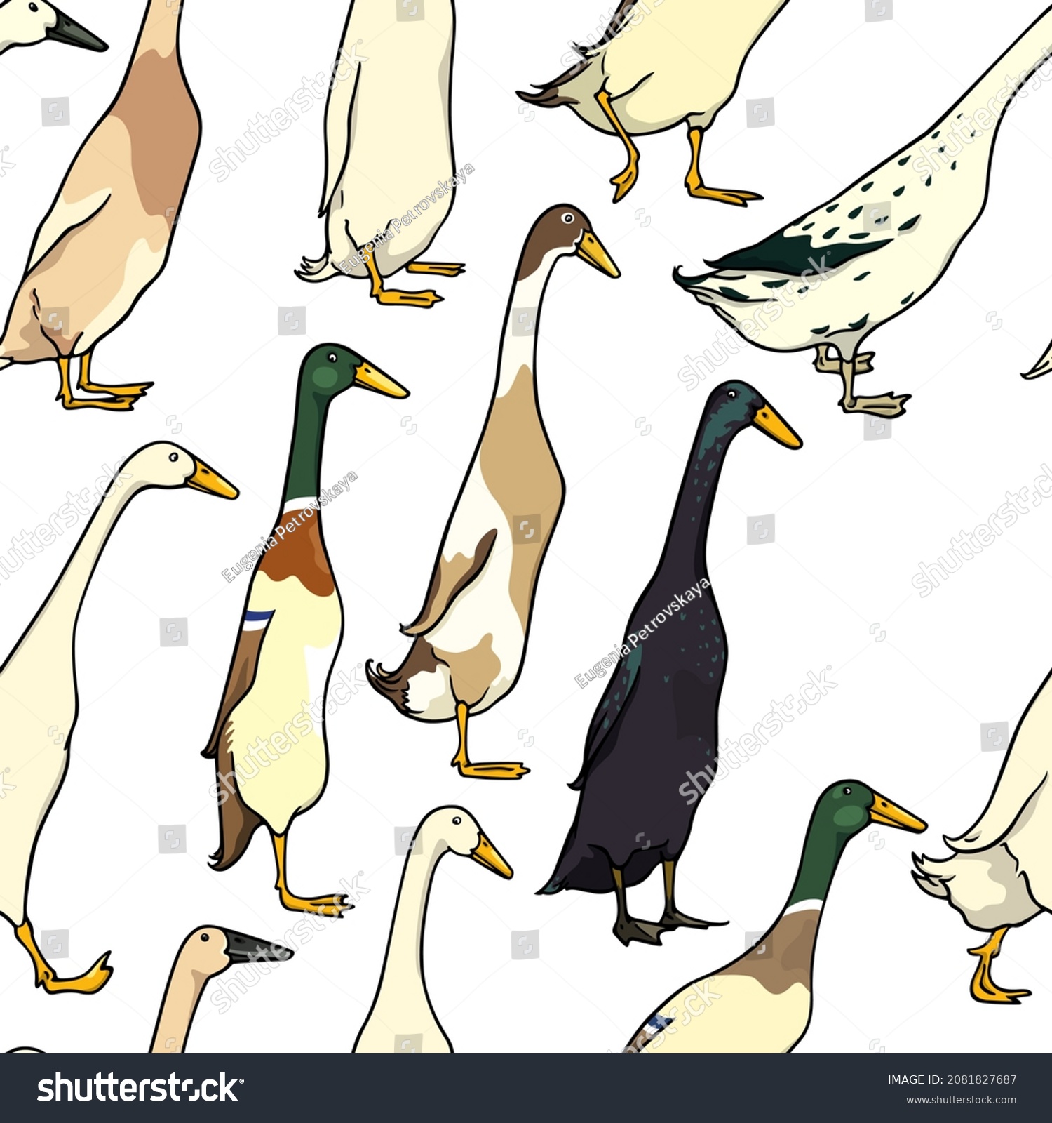SVG of Vector seamless pattern with hand drawn various Indian Runner ducks. Ink drawing, beautiful farm products design elements. Perfect for prints and patterns svg