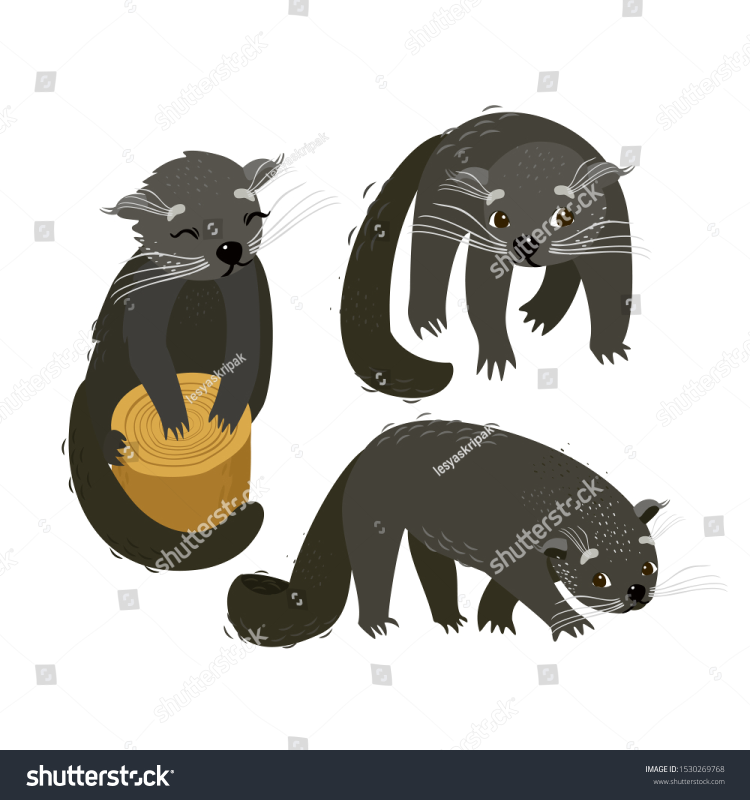 SVG of Vector set animal binturong. Cute beast in the zoo. Bear cat. svg